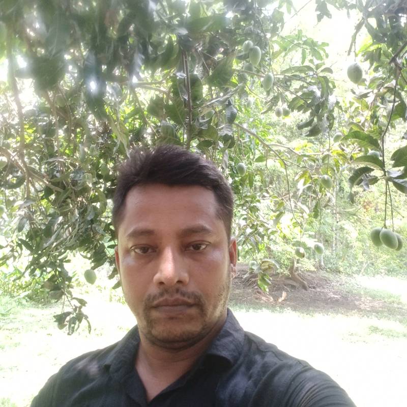 MD nazrul, 39, San Jose